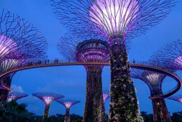 Najpiękniejsze ogrody i parki w Singapurze, które warto odwiedzić Najpiękniejsze ogrody i parki w Singapurze, które warto odwiedzić