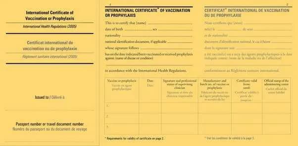 Zanzibar szczepienia i wymogi zdrowotne które powinieneś poznać Zanzibar szczepienia i wymogi zdrowotne które powinieneś poznać