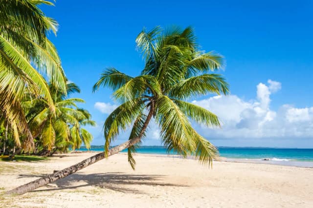 Kiedy najlepiej jechać na Madagaskar przewodnik turystyczny po wyspie Kiedy najlepiej jechać na Madagaskar przewodnik turystyczny po wyspie